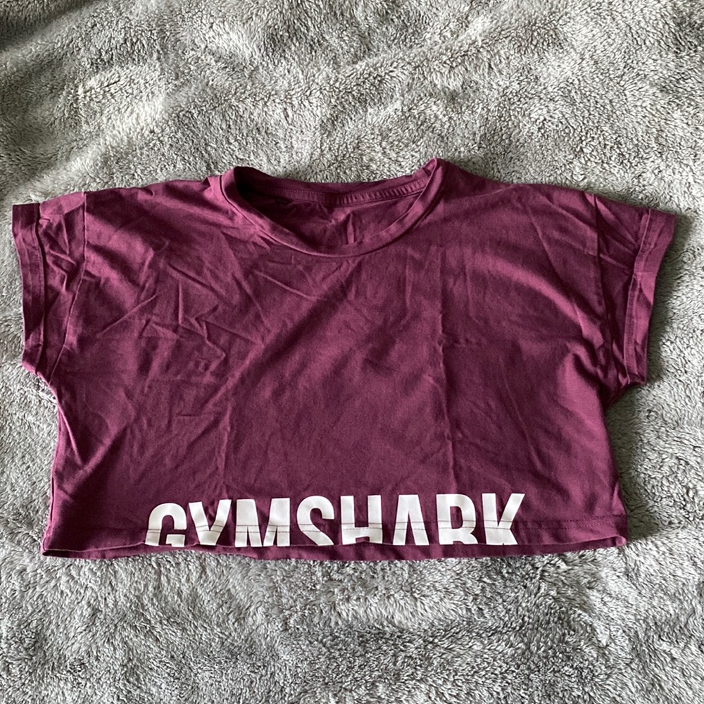 Gymshark Fraction Crop Top
